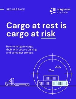 SecurSpace-eBook-cover